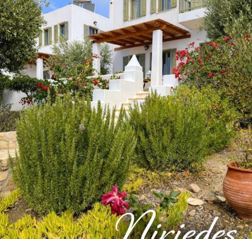 Arkoi酒店住宿-Niriedes Villas