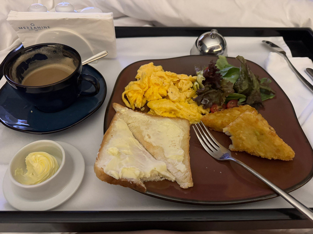 Radisson Blu Hotel, Almaty Airport主图