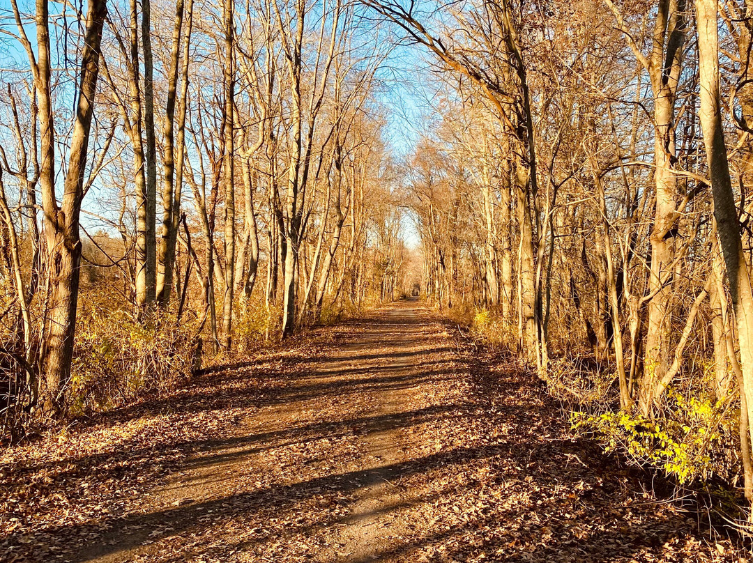 The Wallkill Valley Rail Trail-新帕尔茨必去景点