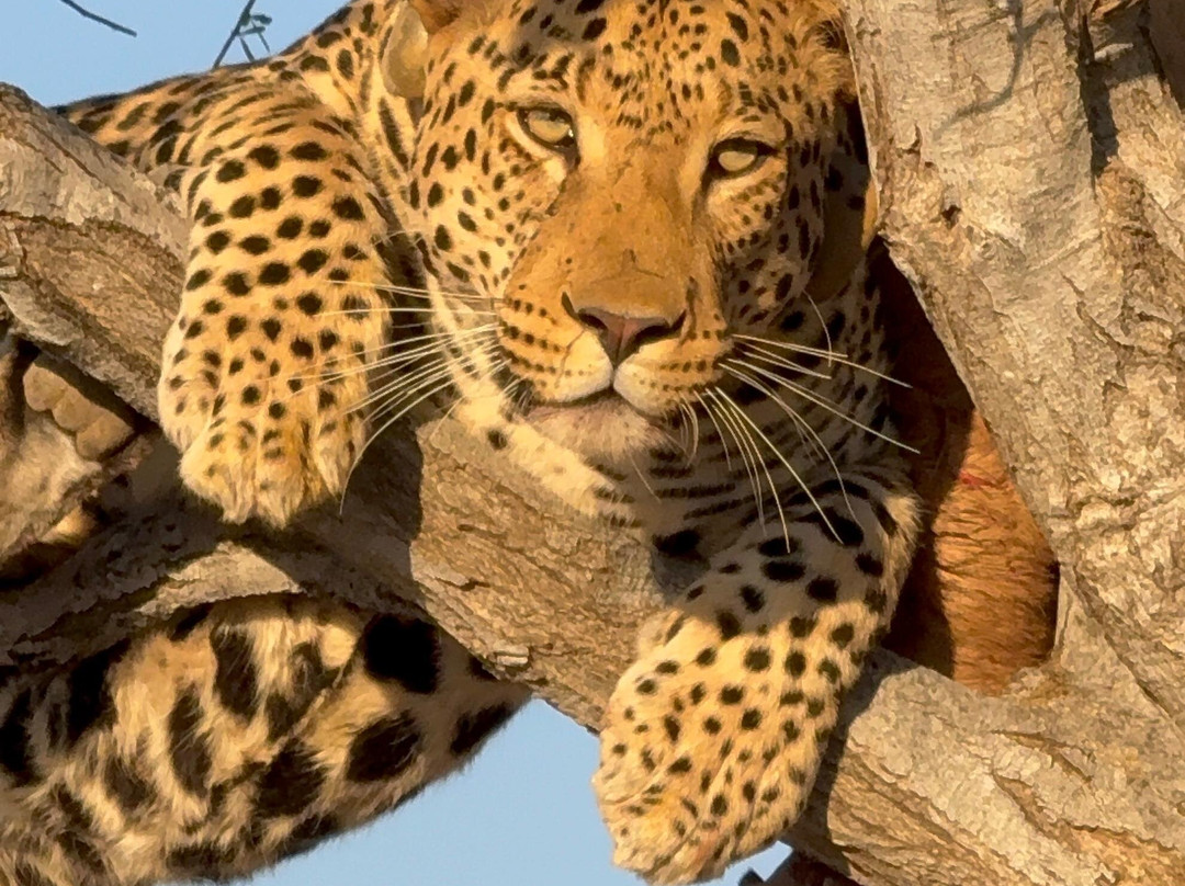 Namibia Tours & Safaris-斯瓦科普蒙德必去景点
