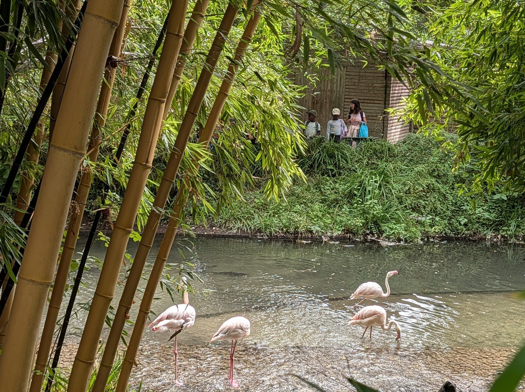 Zoo d'Amiens-亚眠必去景点