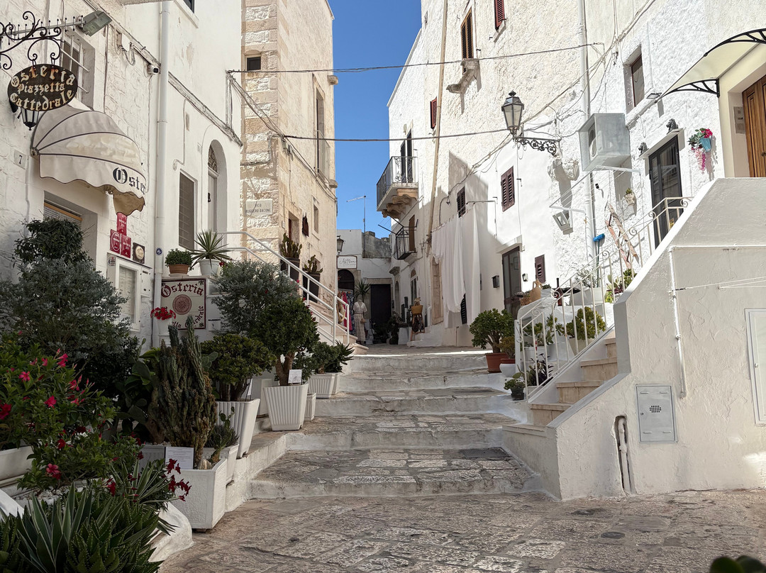 La cinta muraria della città vecchia di Ostuni-奥斯图尼必去景点