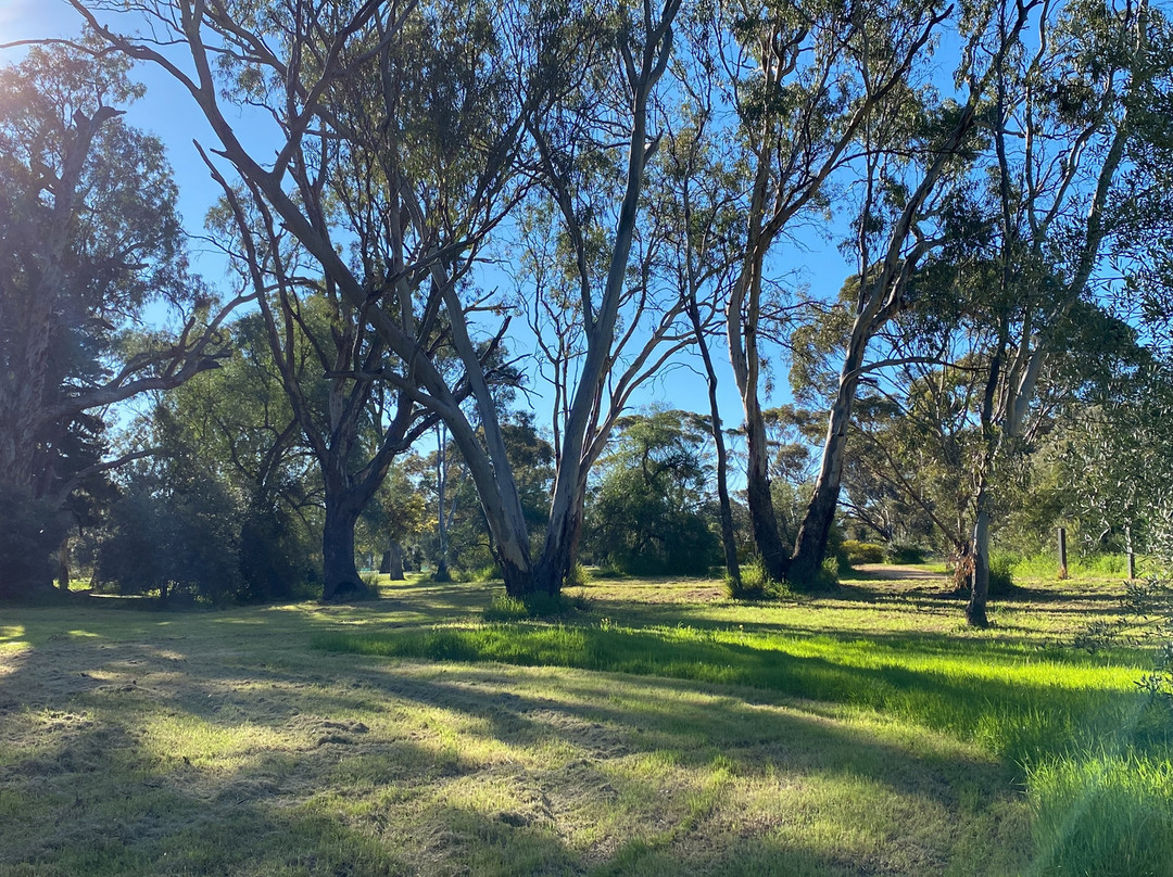 Dimboola Recreation Reserve-Dimboola必去景点