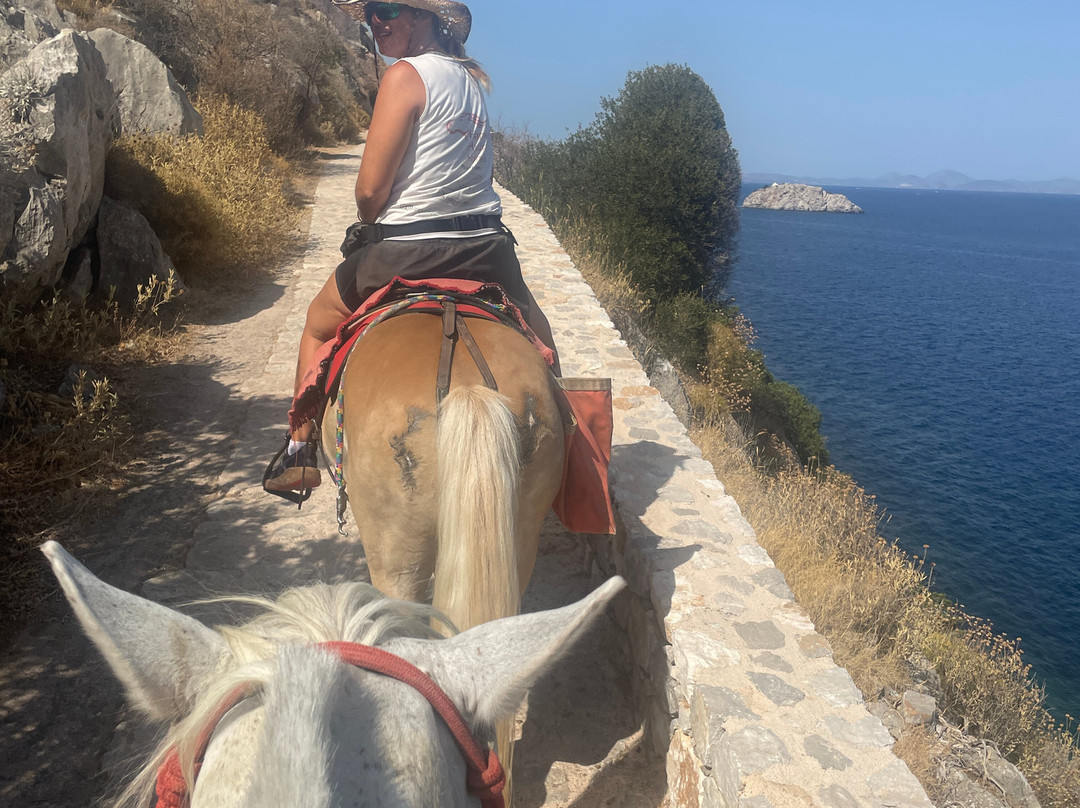Harriets Hydra Horses-Hydra Town必去景点