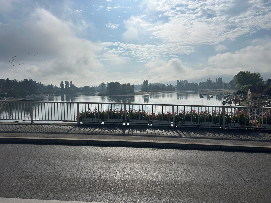 Schifffahrtsgesellschaft Untersee und Rhein-沙夫豪森必去景点
