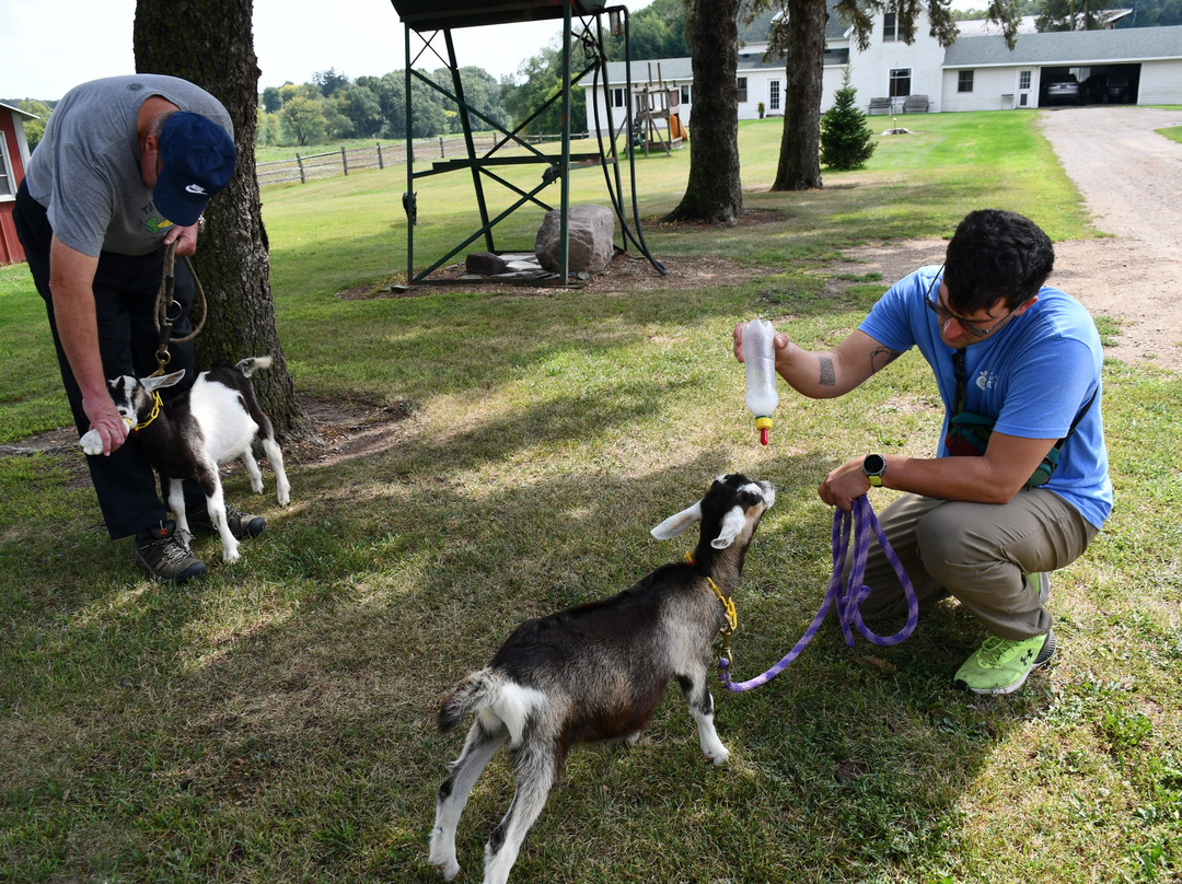 Poplar Goat Farm Tours-Scandia必去景点