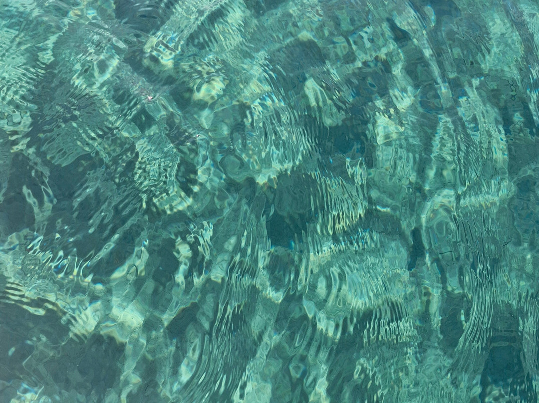 Maremma Escursioni-奥尔贝泰洛必去景点