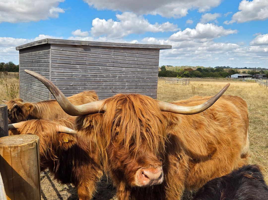 Hogshaw Farm & Wildlife Park-Hogshaw必去景点