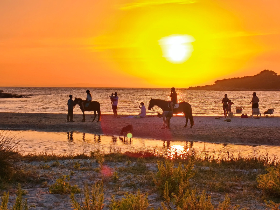 Horse Riding Alonaki-Valanidorrachi必去景点
