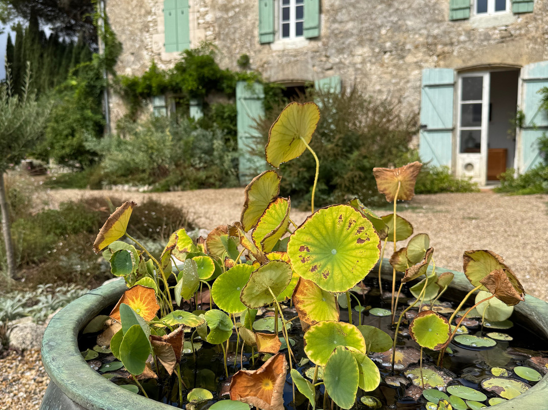 Les Jardins de Sardy-Velines必去景点