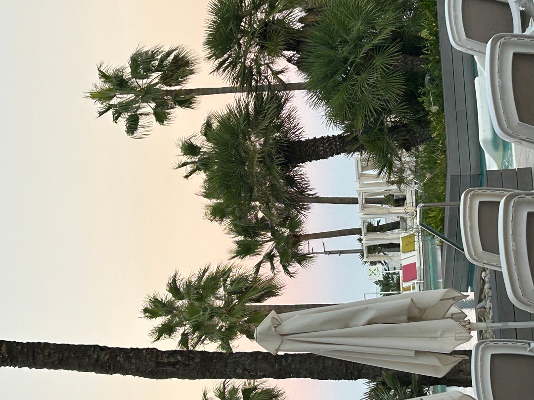 Protur Playa Cala Millor Hotel主图