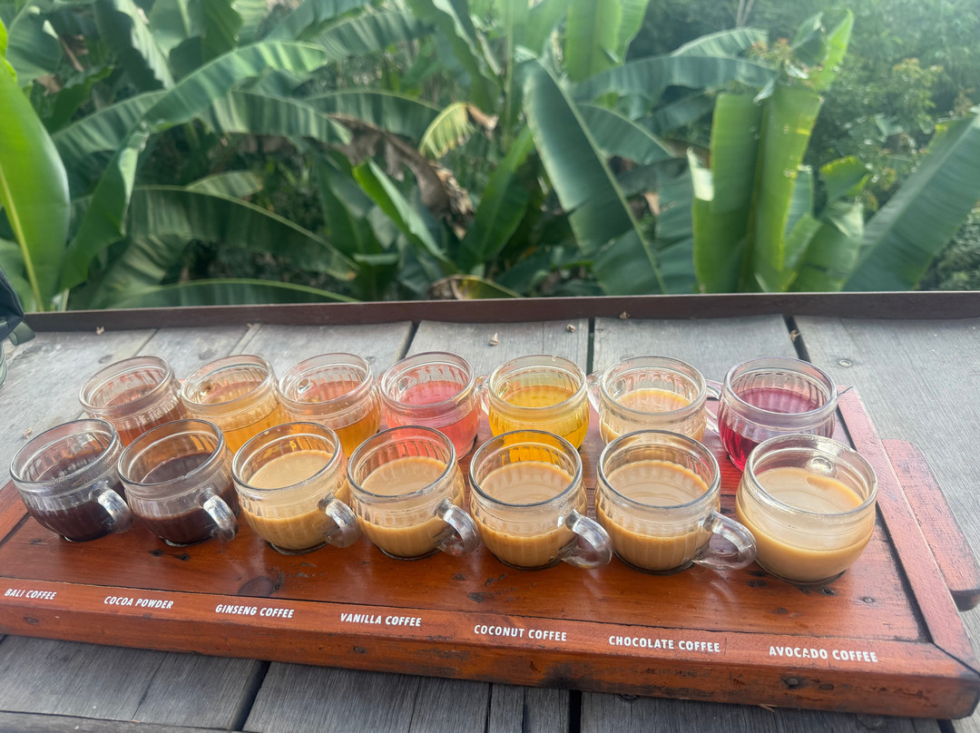 Pemulan Bali Coffee Plantation-Manukaya必去景点