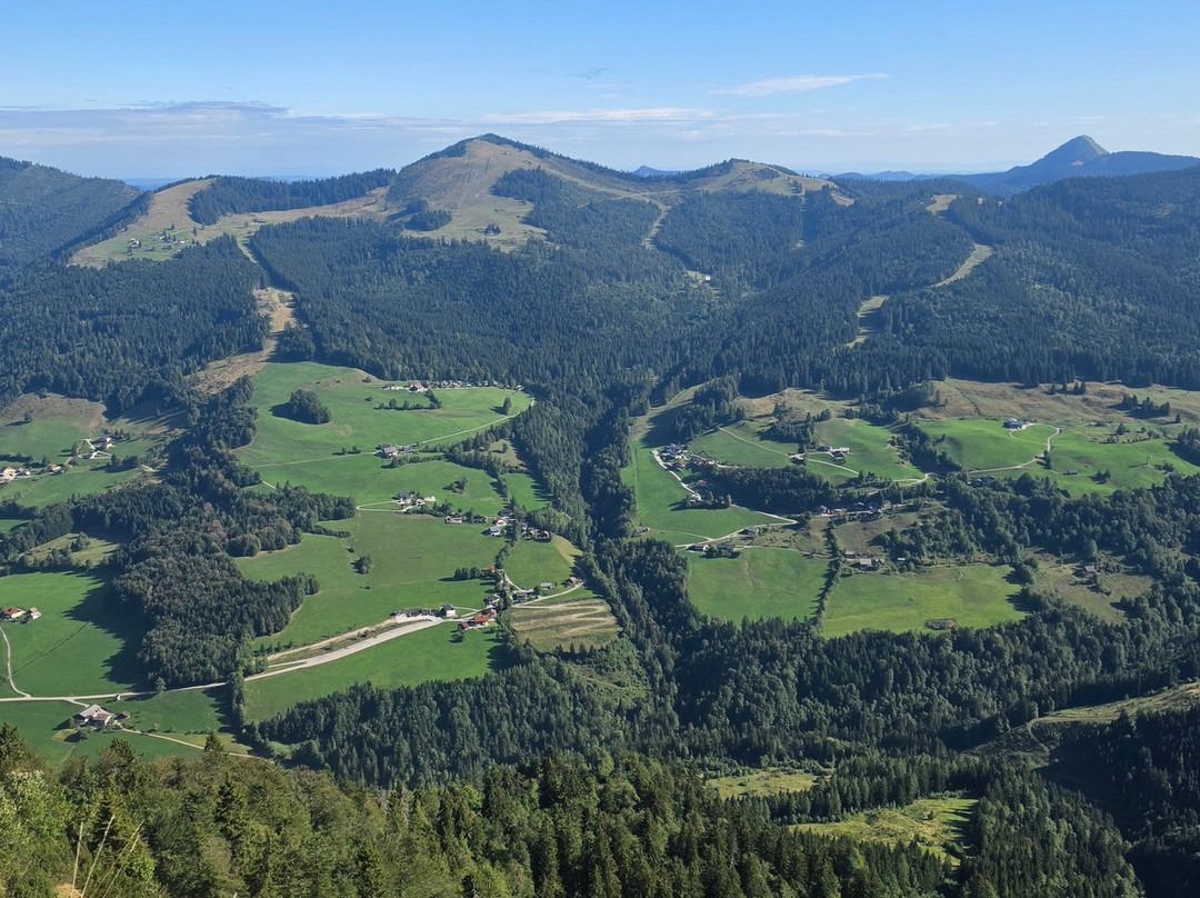 Schlenken