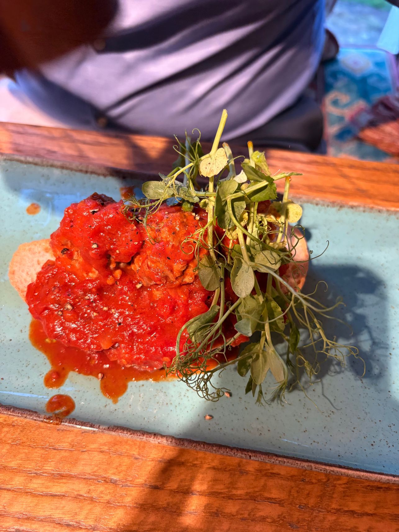 布莱克尼 - 驿站客栈集团, 海滨庄园酒店及客栈-旅行者