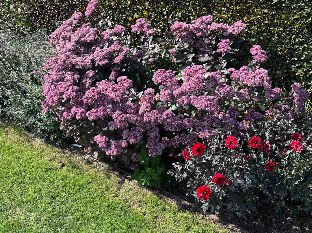 Scampston Walled Garden-马尔顿必去景点
