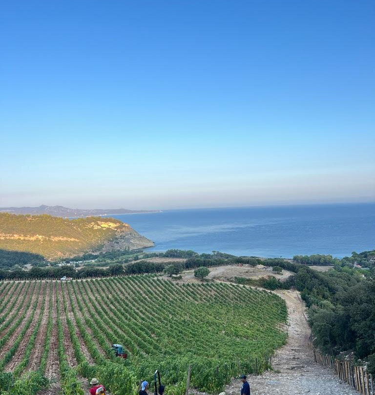 Clos Marfisi