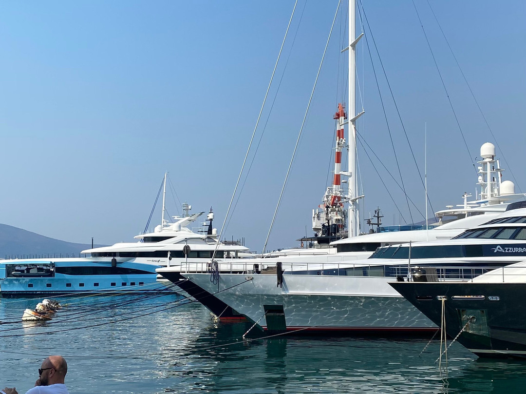 Porto Montenegro-Tivat Municipality必去景点