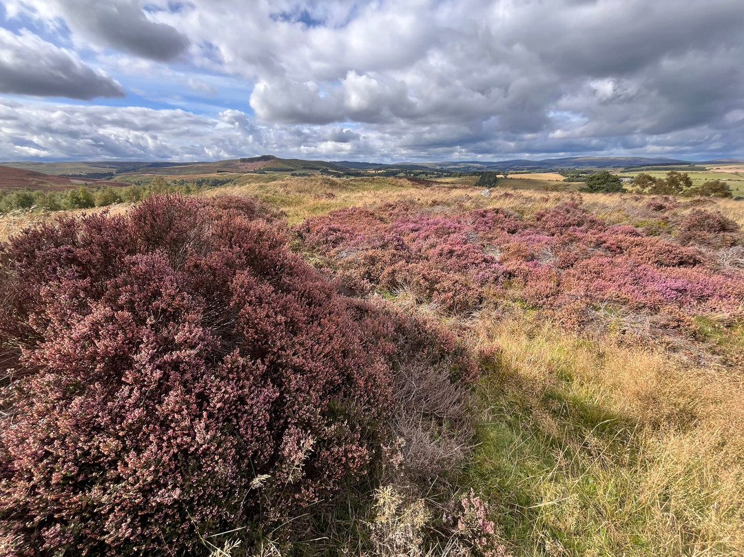 Hepple Wilds Estate-Rothbury必去景点