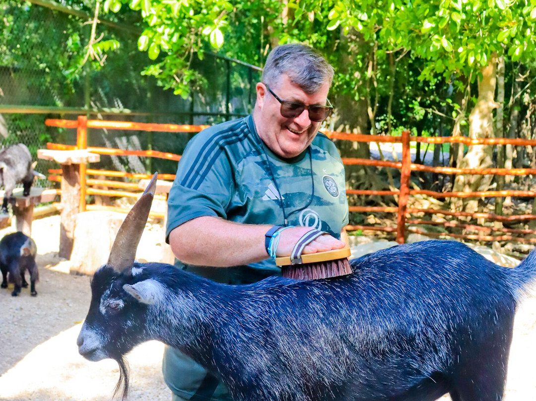 Akumal Monkey Sanctuary & Rescued Animals-艾库玛尔必去景点