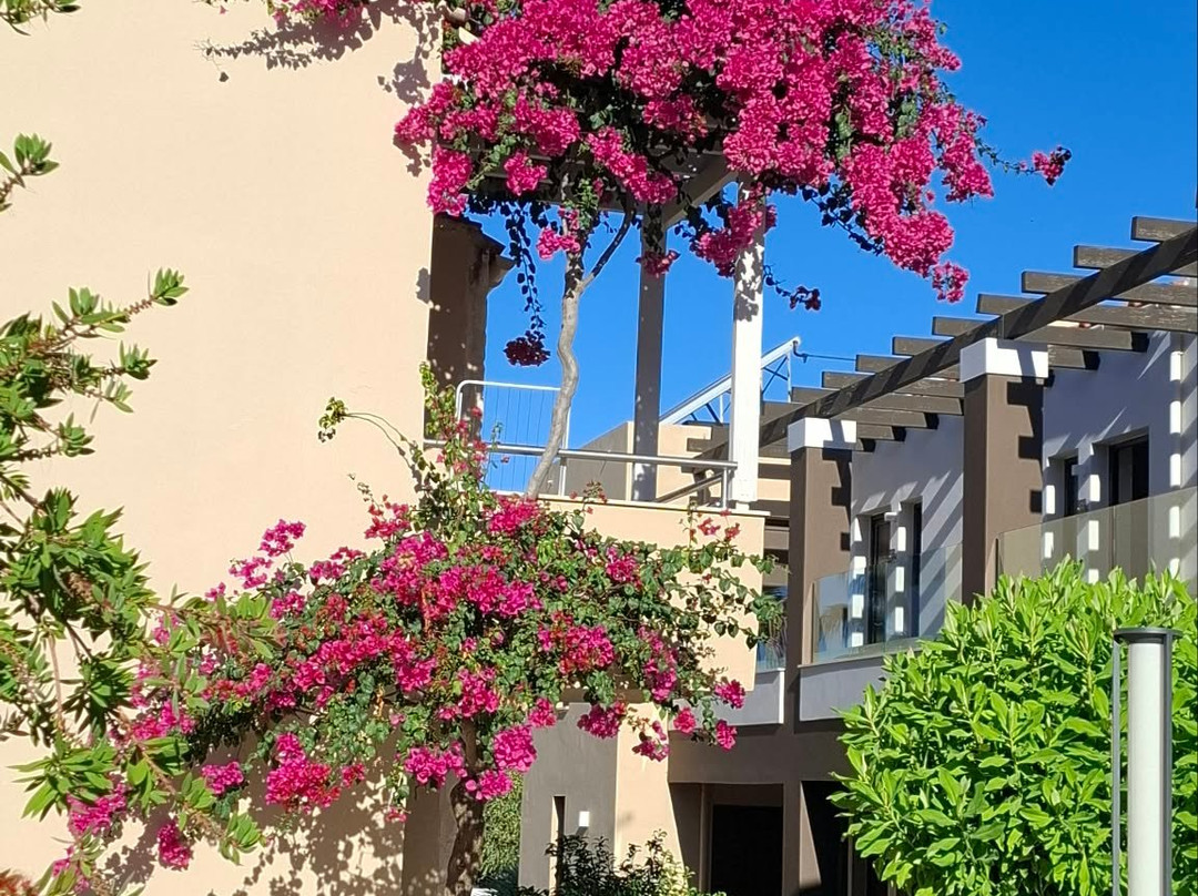 Althea Village - Family Hotel主图