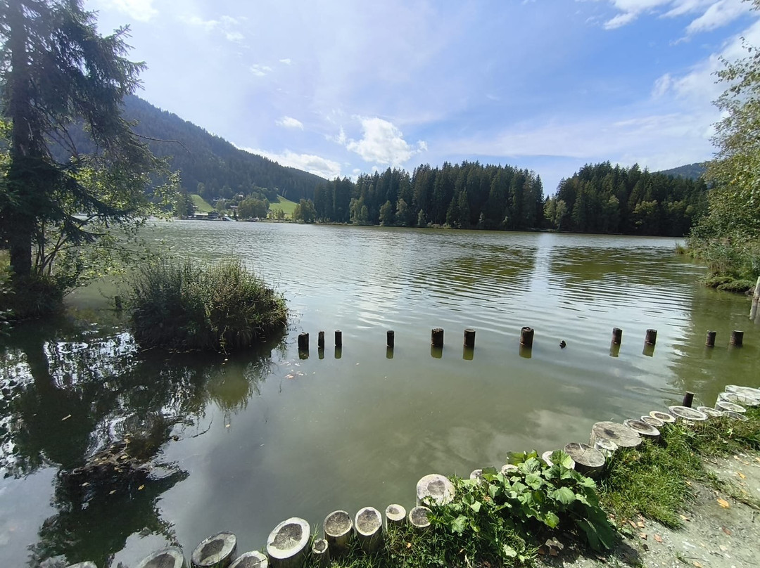 Schwarzsee Kitzbühel-基茨比厄尔必去景点