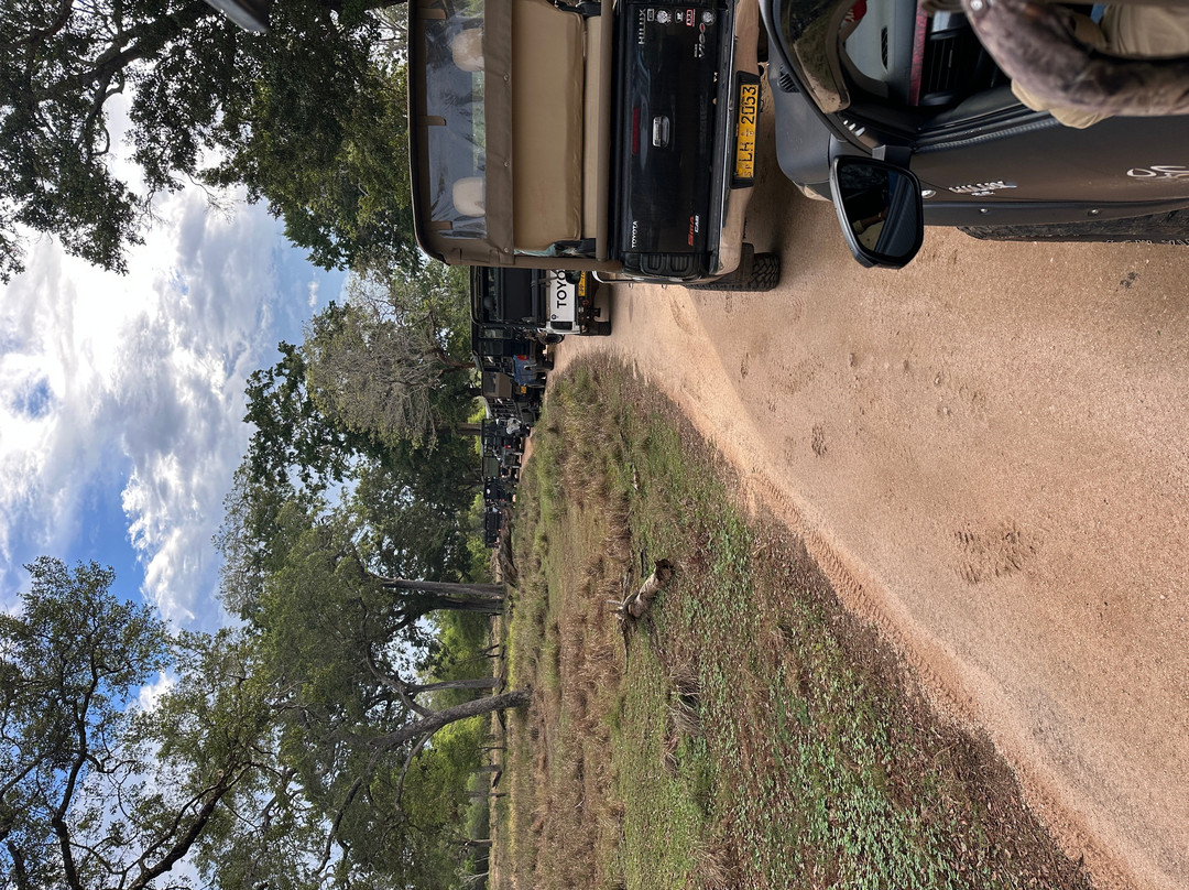 Lunugamvehera National Park By Wildtrails Safari-Thanamalwila必去景点