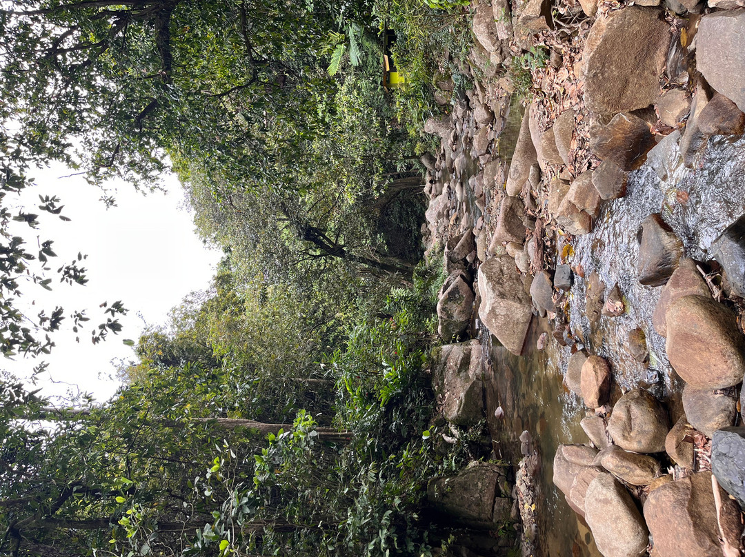 Biausevu Waterfall-辛加东卡必去景点
