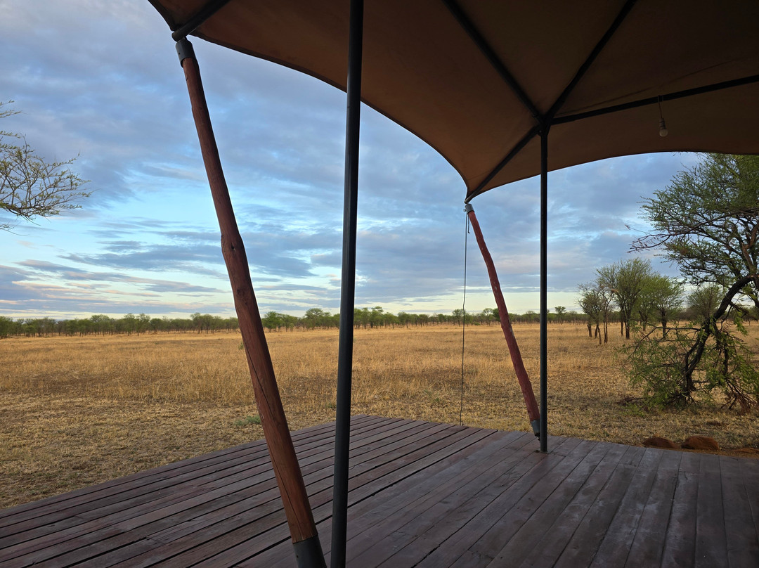 Serengeti Queens Camp-Seronera必去景点