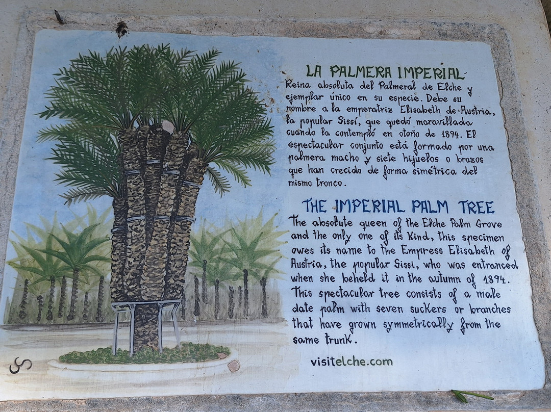 Jardín Artístico Nacional Huerto Del Cura-埃尔切必去景点