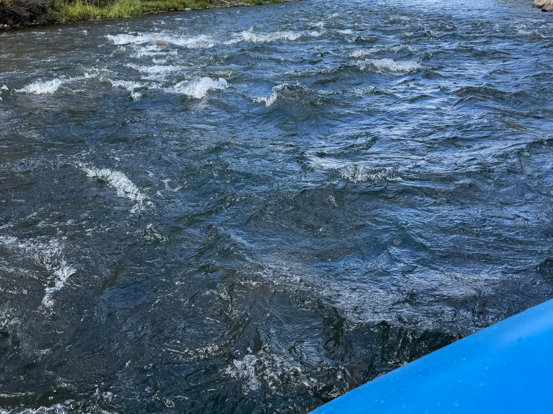 Bitterroot Rafting Adventures-Hamilton必去景点