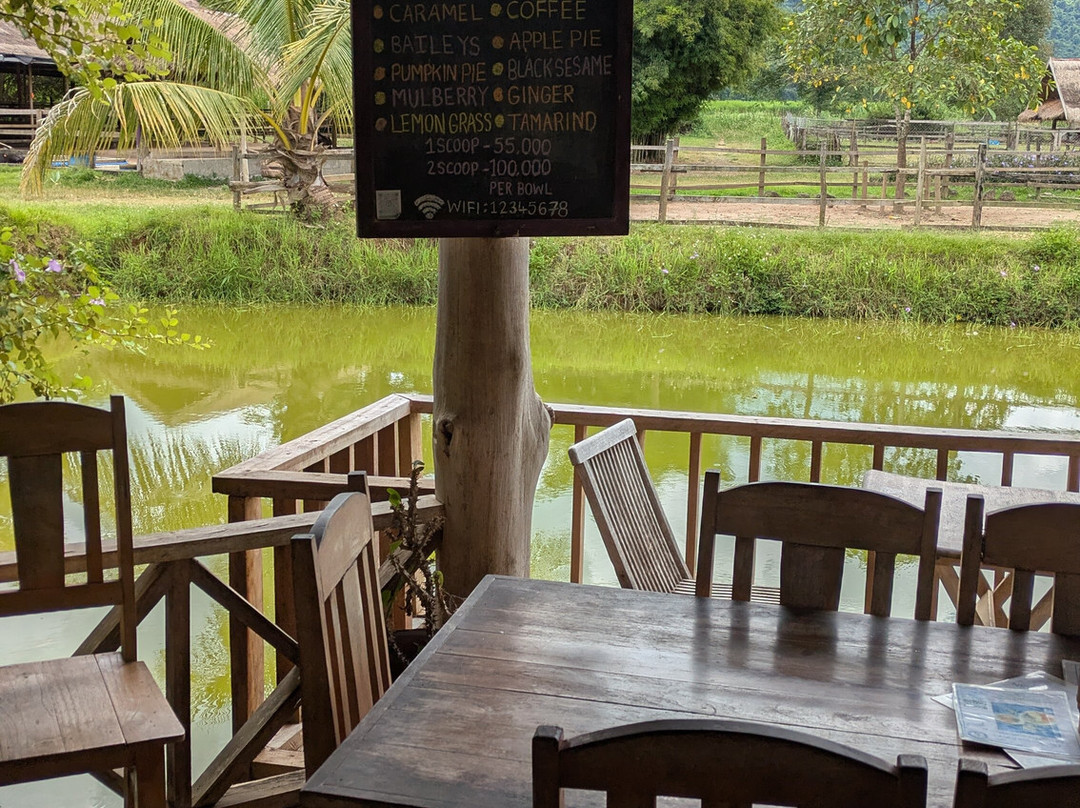 Laos Buffalo Dairy-琅勃拉邦必去景点