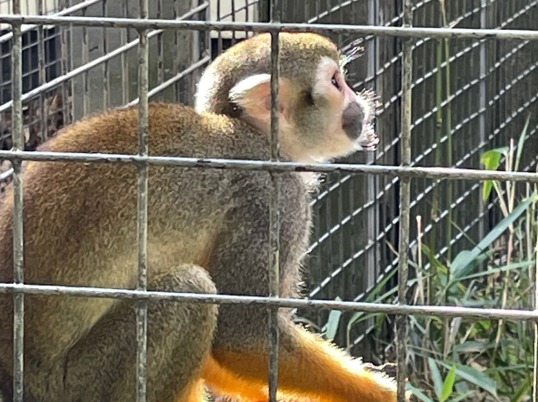 Newquay Zoo-纽奎必去景点