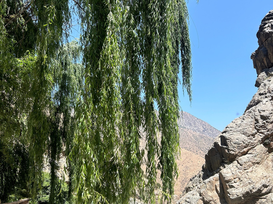 7 Cascade D'ourika-Ourika必去景点