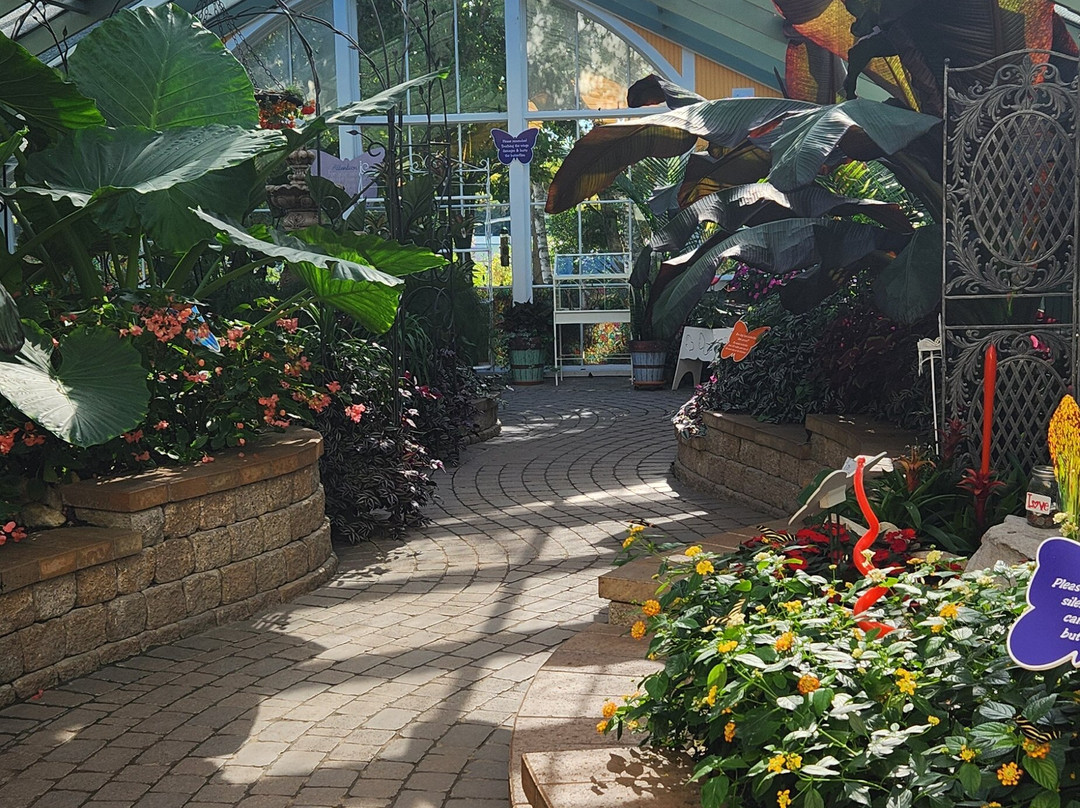 Wings of Mackinac Butterfly Conservatory-麦其诺岛必去景点
