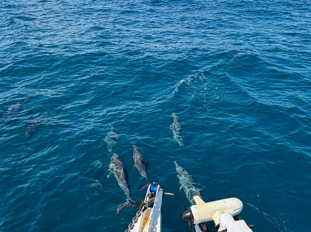 Anglers Choice Fishing Safaris-达尔文市必去景点