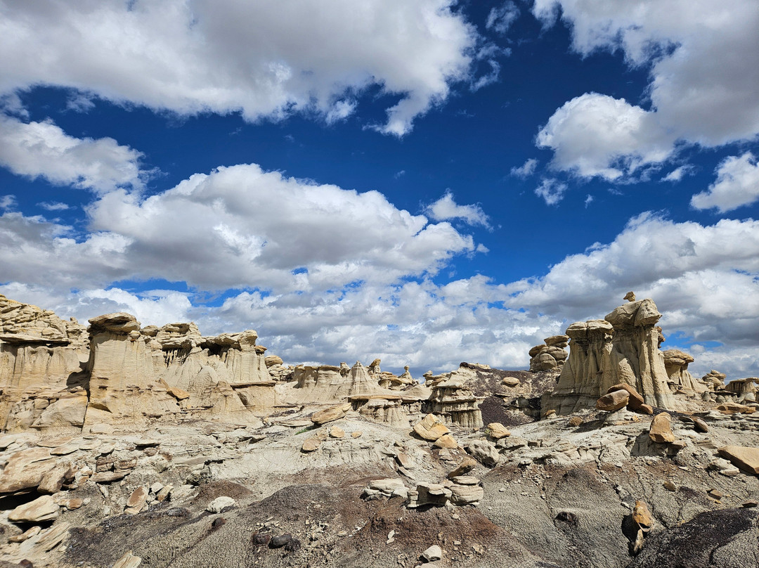 Navajo Tours USA-Nageezi必去景点