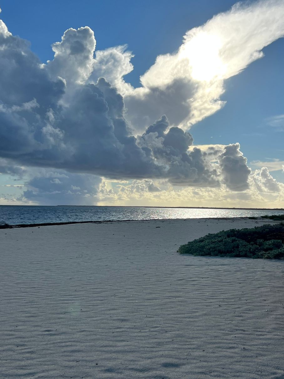 Anegada Beach Club-旅行者
