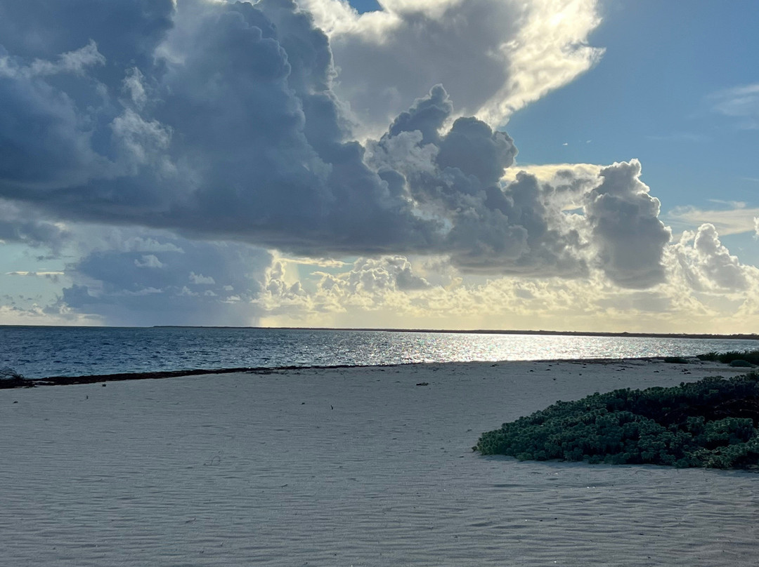 Anegada Beach Club主图