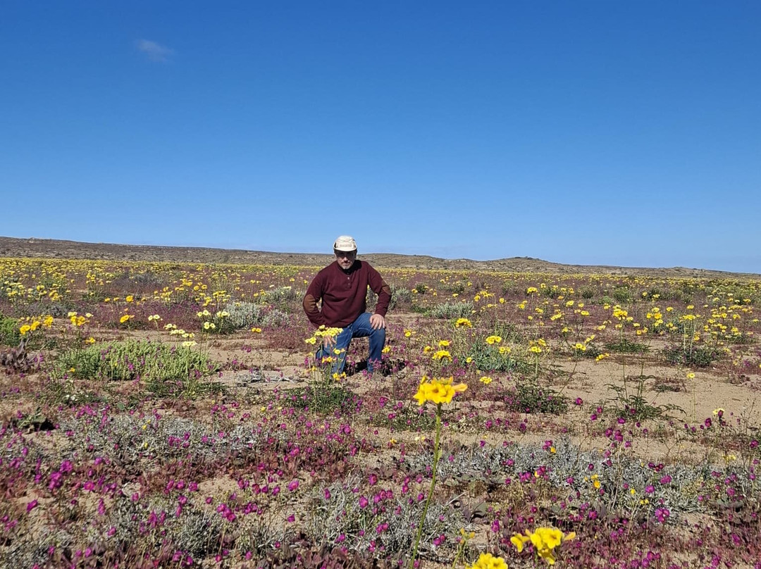 GeoTurismo Atacama-Caldera必去景点
