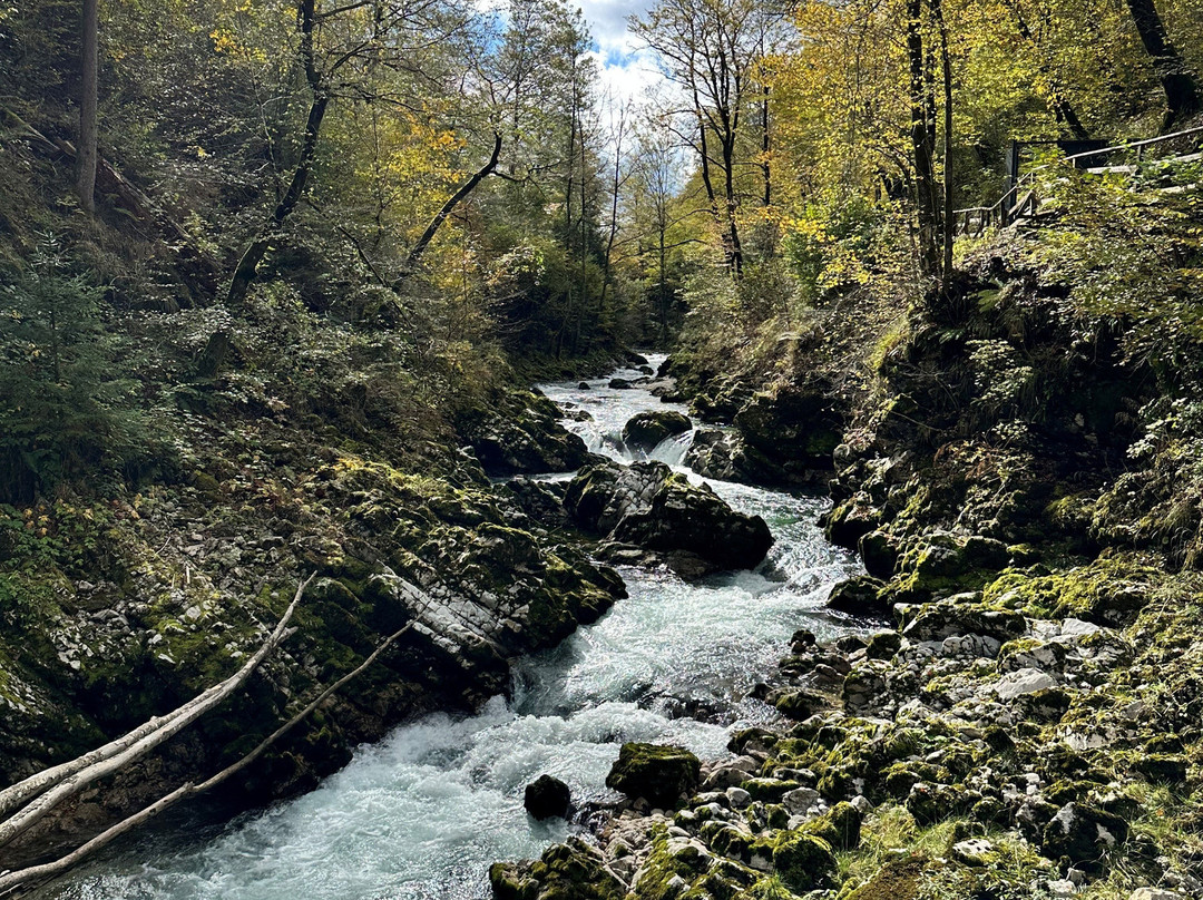 文特加峡谷（Soteska Vintgar）-Zgornje Gorje必去景点