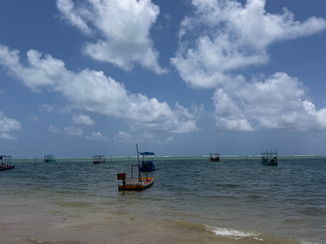 Patacho Beach-Porto de Pedras必去景点