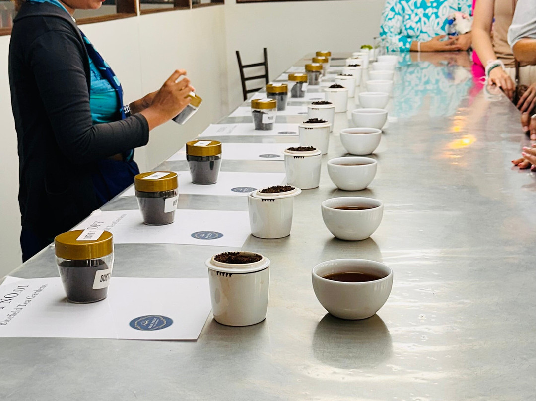 Blue Field Tea Factory-拉马伯达必去景点