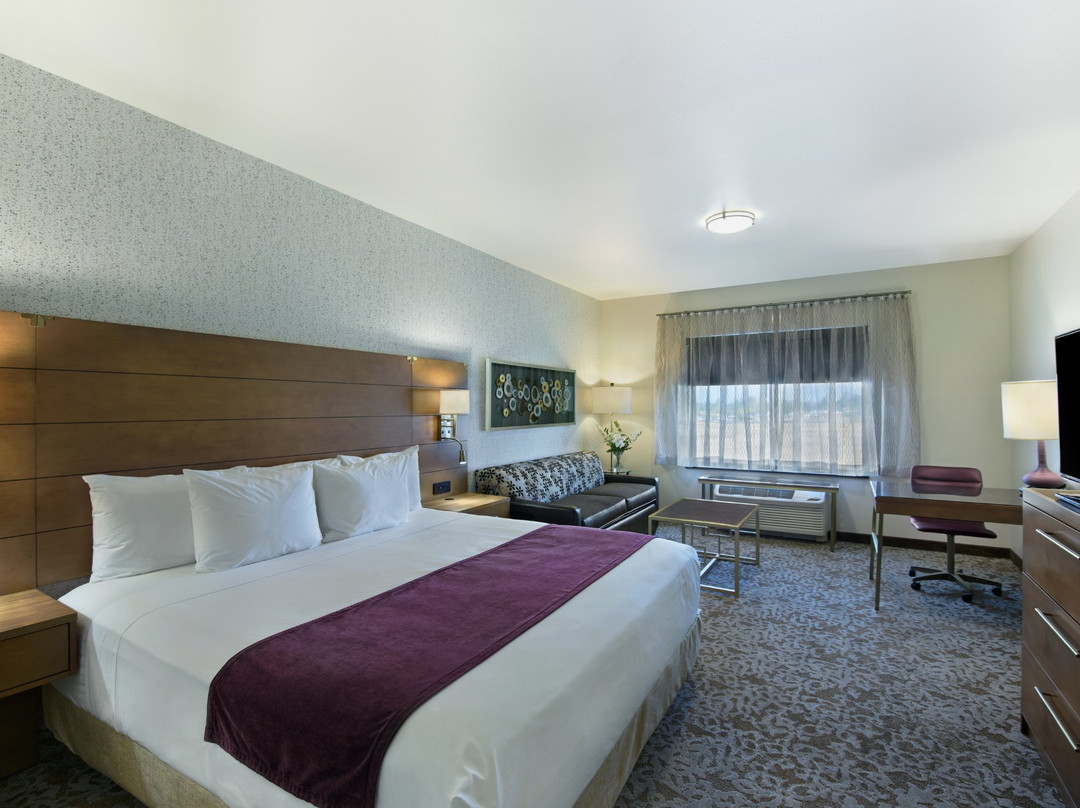 Oxford Suites Sonoma County - Rohnert Park主图