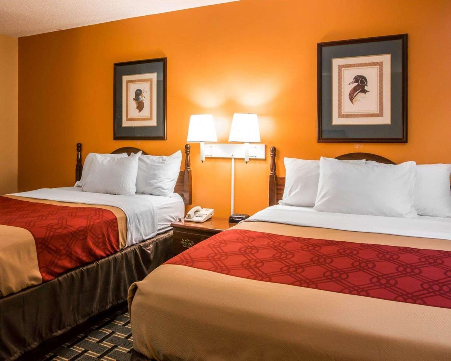 Econo Lodge-官方