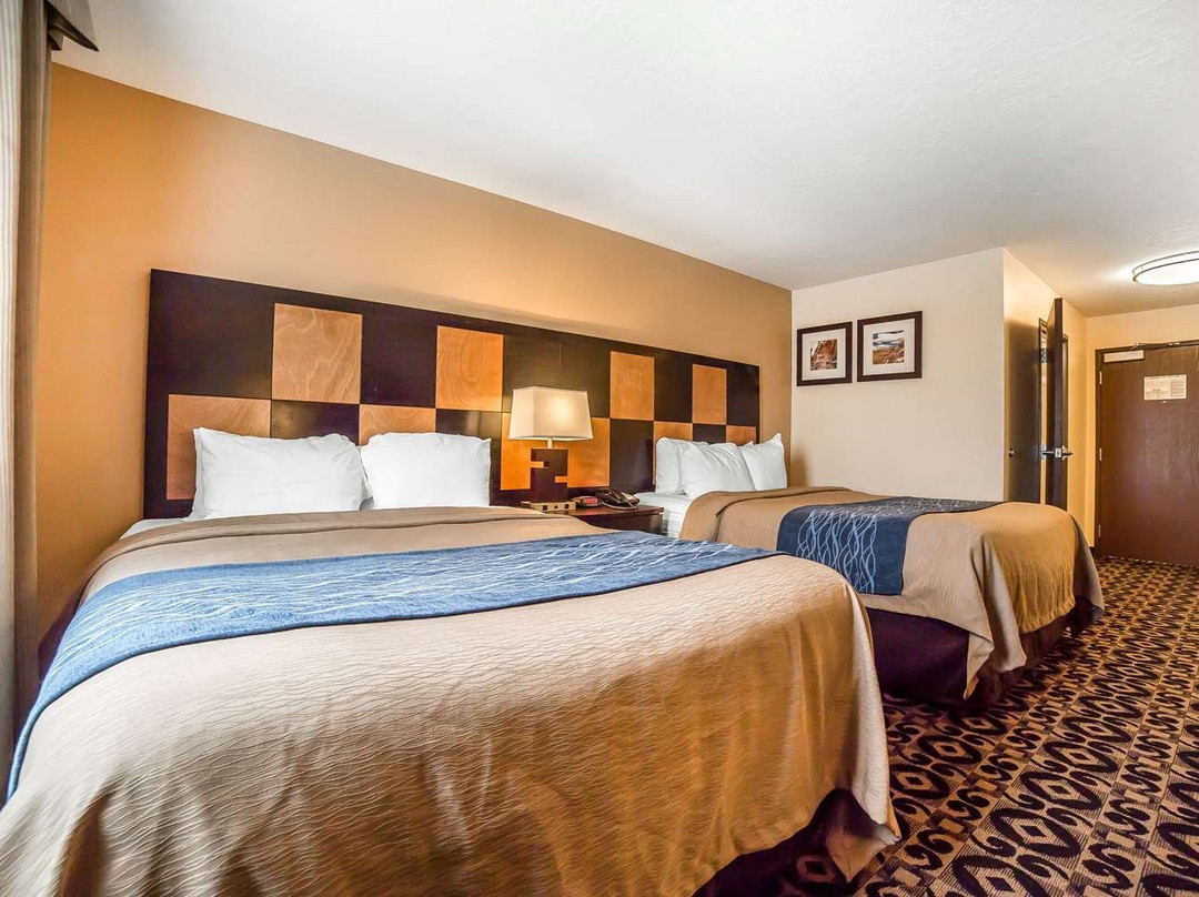 Comfort Inn Ballard-Roosevelt主图