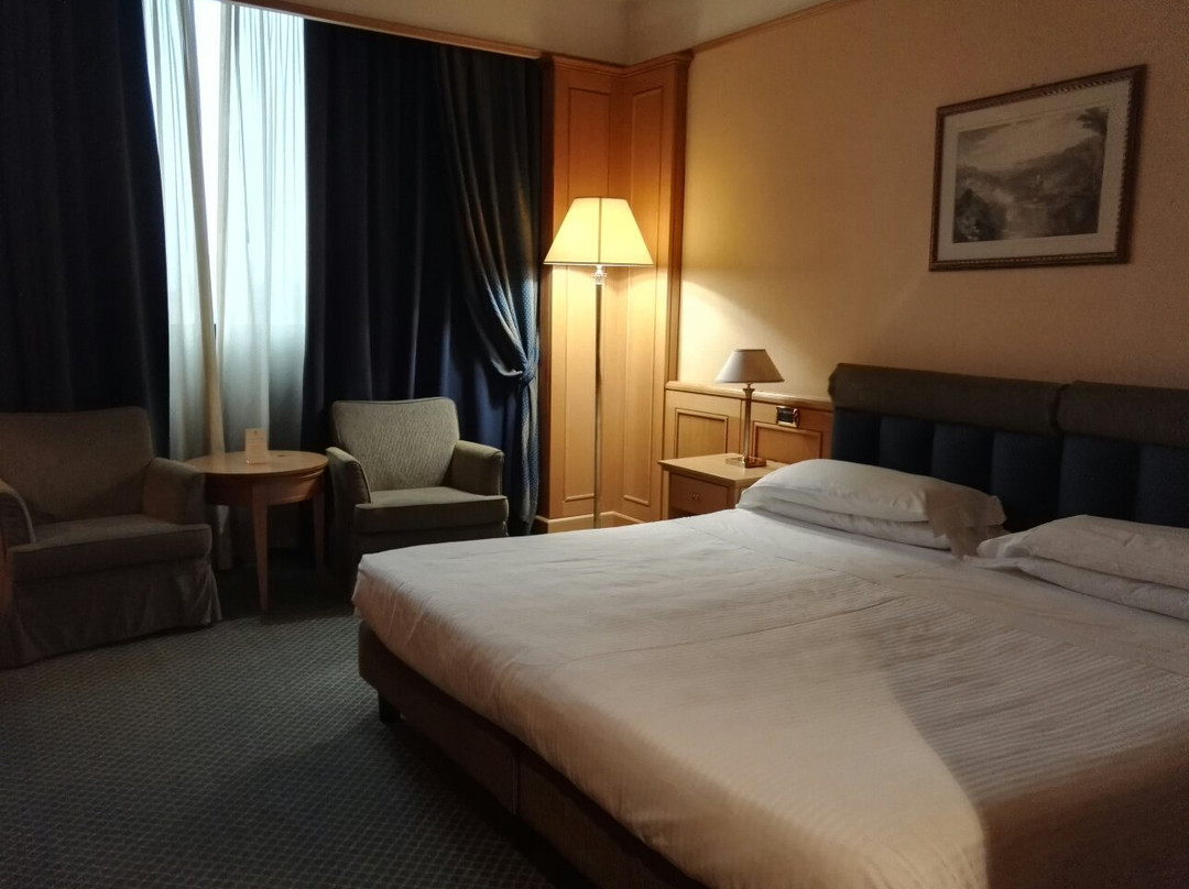 巴洛尼迪萨西大酒店