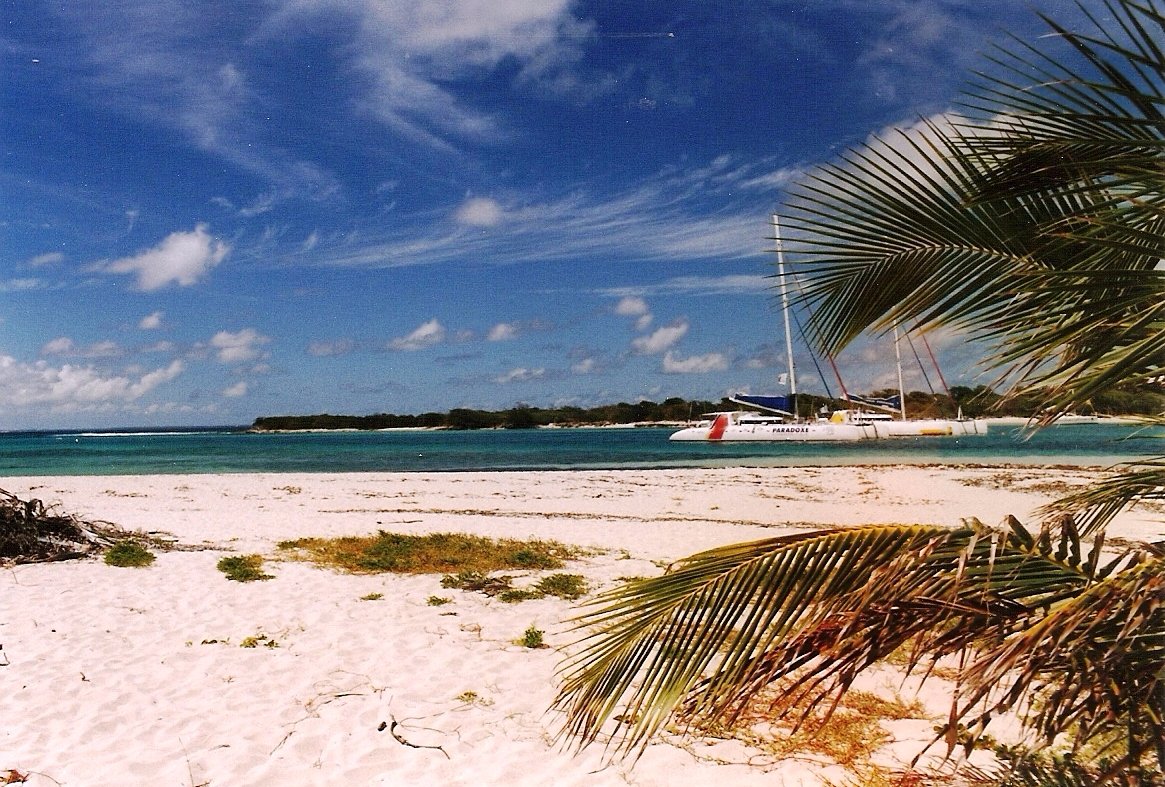 Callinago Hotel-官方