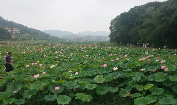衡阳县旅游攻略图片