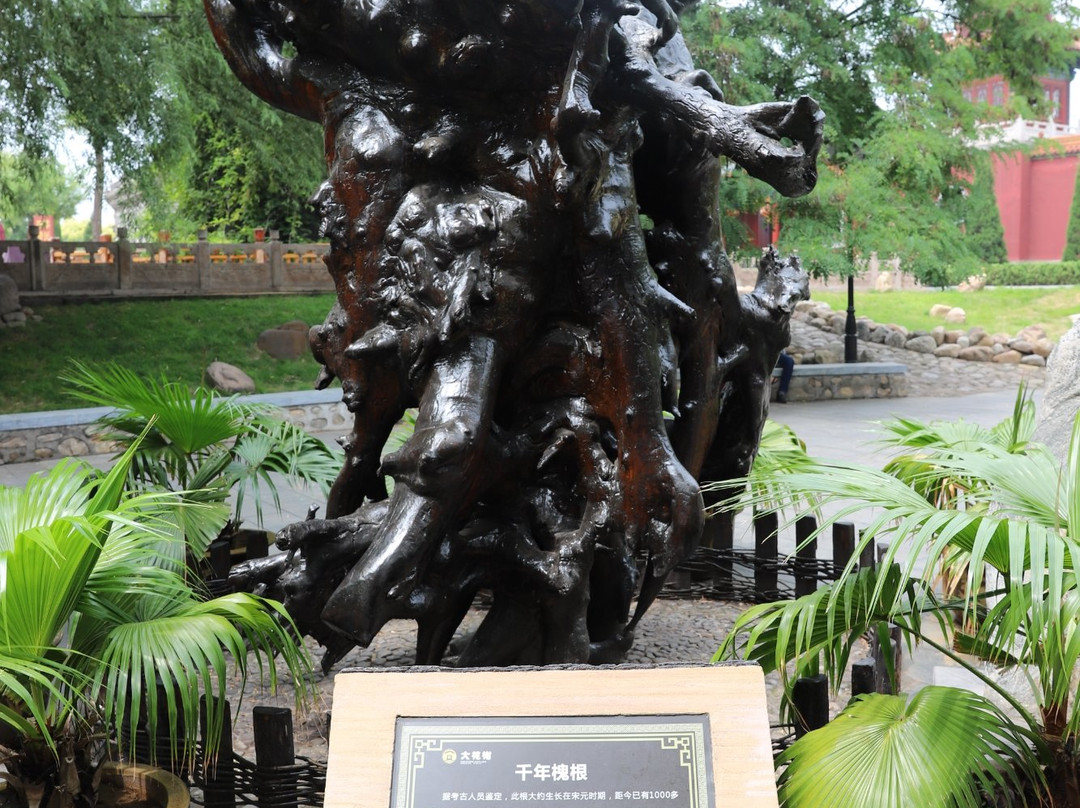 大槐树祭祖园-洪洞县必去景点