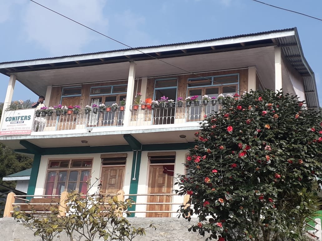 Conifers Homestay-官方